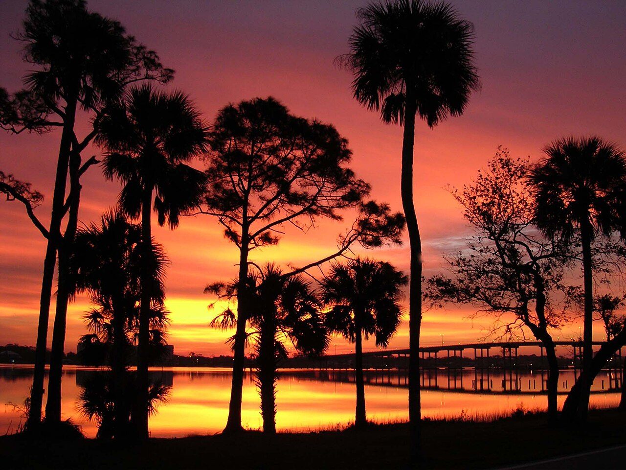 Ormond Beach Real Estate: Where Value Lives on Volusia Coast