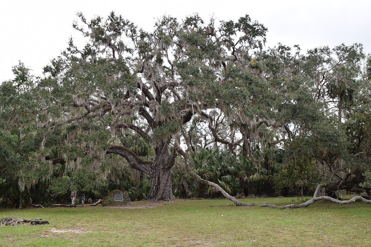 Selling an Inherited Coastal Property in Volusia County, FL